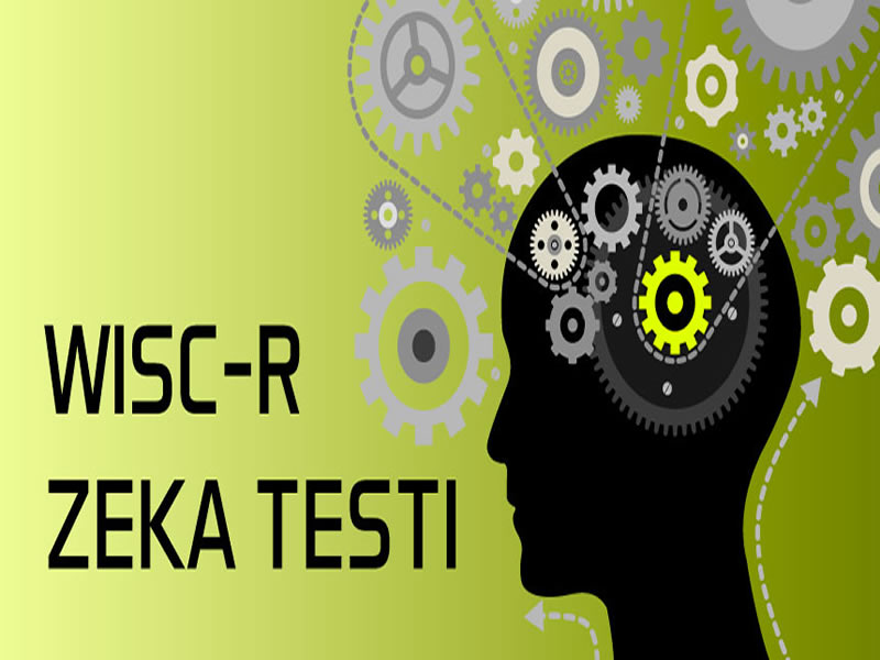 You are currently viewing Wısc-R Zeka Testi Uygulayıcı Sertifika Programı